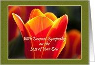 Loss of Son Sympathy Religious Light of Christ Sunset card