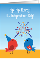 Cute Birds Watching Fireworks Happy 4th of July for Kids card