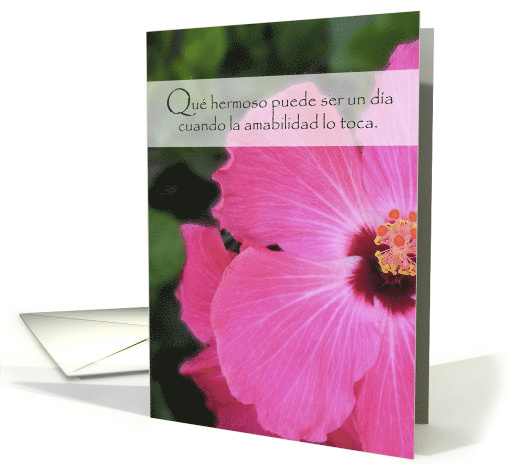 Thank You for your Kindness in Spanish with Flower... (1389888)
