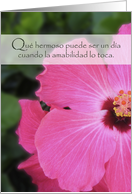 Thank You for your Kindness in Spanish with Flower Gracias Amabilidad card