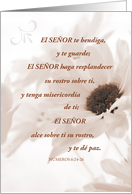 Religious Encouragement in Spanish Lord Bless and Keep card