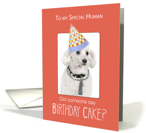 Poodle Dog to Human Birthday Humor Orange Funny Hat card (1423860)