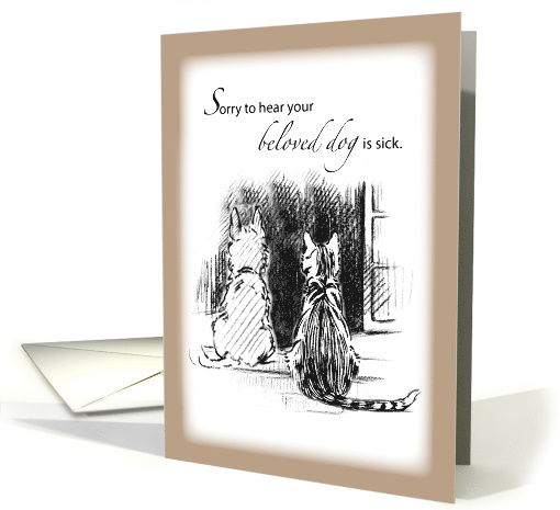 Sorry to Hear Dog is Sick Cat and Dog Looking Out Window card
