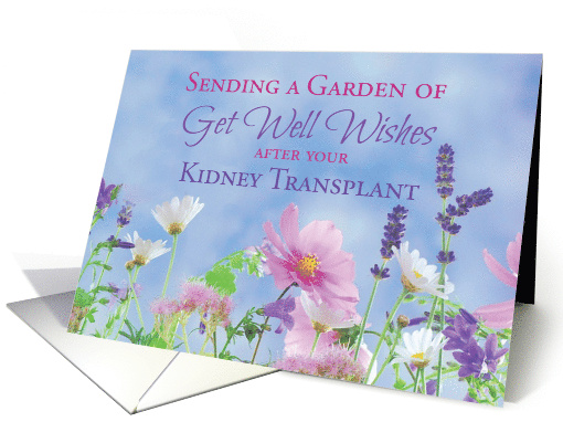 Get Well After Kidney Transplant Garden with Flowers card (1435148)