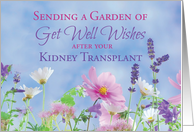 Get Well After Kidney Transplant Garden with Flowers card