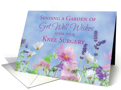 Get Well After Knee Surgery, Garden with Flowers card 