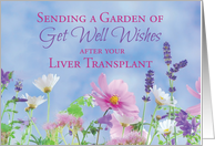 Get Well After Liver Transplant Garden with Wildflowers card