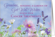 Grandma Get Well Cancer Treatments Garden Flowers Grandmother card