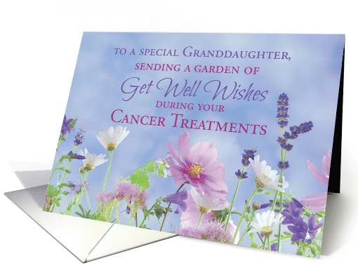 Granddaughter Get Well During Cancer Treatments Garden... (1435312)
