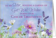 Sister Get Well During Cancer Treatments Garden Wildflowers card