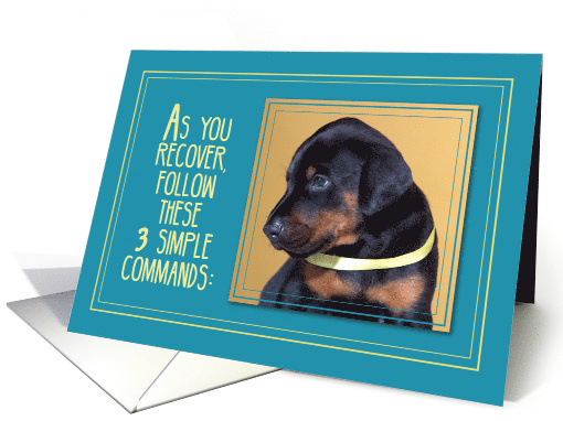 Get Well Healing Dog Sitting card (1442364)