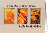 Sister and Brother in Law Thanksgiving Three Leaves card