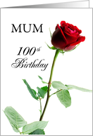 Mum 100th Birthday...