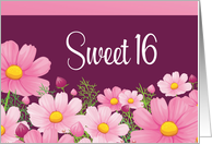 Sweet 16 Birthday With Pink Daisies card