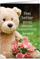 Endometriosis Surgery Feel Better Teddy Bear Get Well Religious card