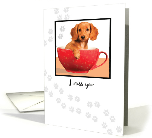 Miss You Dachsund Puppy in Cup card (1504086)