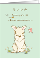 Get Well Dog Care Helps Healing Process card