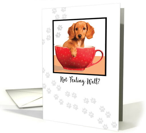 Get Well Cute Dachsund Dog in Cup card (1507118)