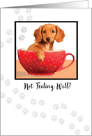Get Well Cute Dachsund Dog in Cup card