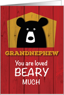 Grandnephew Bear...