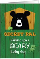 Secret Pal Bear on...