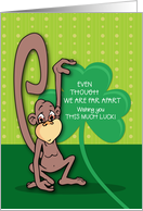 Far Away St Patricks Day Monkey with Shamrock card