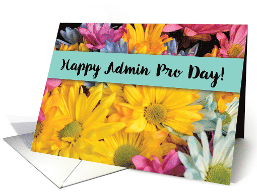 Admin Pro Day Thanks Gerbera Daisies card (1519046)