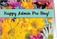 Admin Pro Day Thanks Gerbera Daisies card