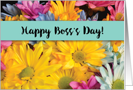 Boss Day Thanks Gerbera Daisies card