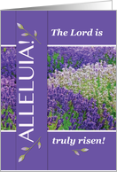 Easter Alleluia Lavender Flower Field card
