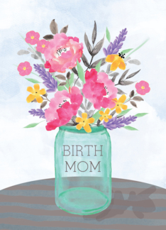 Birth Mom Mothers...