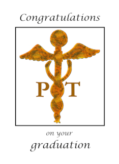 Physical Therapy...