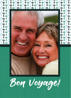 Bon Voyage Cruise...