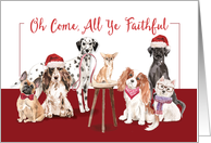 Dogs O Come All Ye Faithful Christmas card