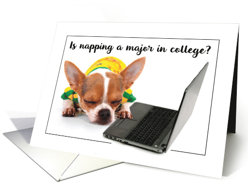 Back to School College Funny Napping Dog on Laptop Computer card