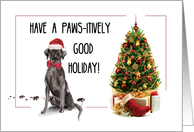 Black Lab Funny Christmas Dog and Tree card
