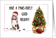 Australian Shepherd Funny Christmas Dog with Tree card