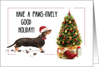Black and Tan Dachshund Funny Christmas Dog with Tree card