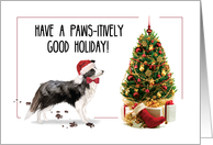 Border Collie Funny Christmas Dog with Tree card