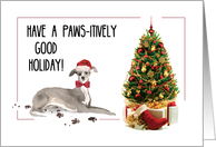 Italian Greyhound Funny Christmas Dog with Tree card