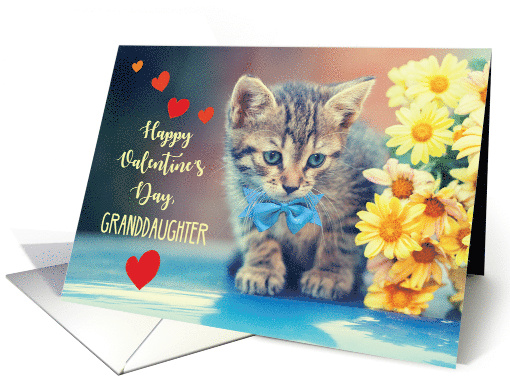 Granddaughter Love Valentine Kitten with Yellow Daisies card (1559336)