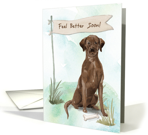 Chocolate Lab Feel Better After Surgery card (1573366)