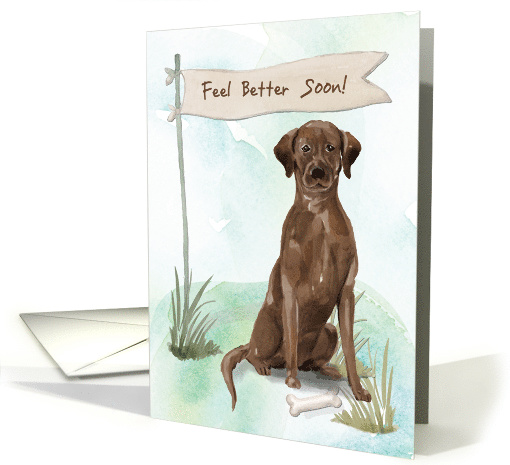 chocolate-lab-feel-better-after-surgery-card-1573366