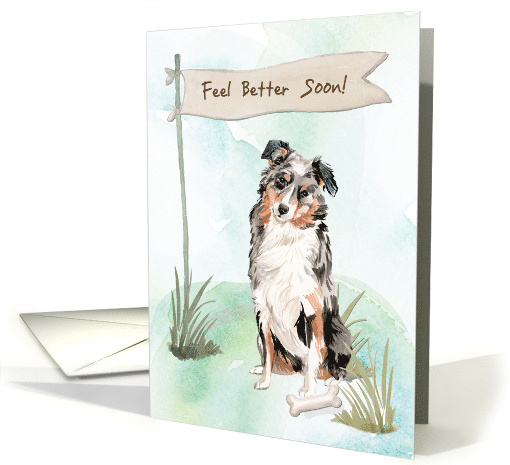 Australian Shepherd Feel Better After Surgery to Dog card (1573986)