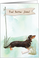 Black and Tan Dachshund Feel Better After Surgery to Dog card