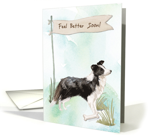 Border Collie Feel Better After Surgery to Dog card (1573996)