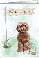 Brown Cockapoo Feel Better After Surgery to Dog card
