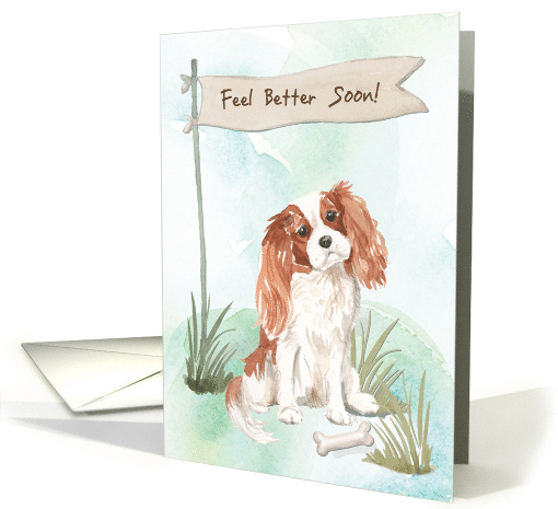 Cavalier King Charles Spaniel Feel Better After Surgery to Dog card