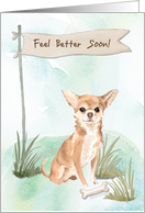 Chihuahua Feel Better After Surgery to Dog card