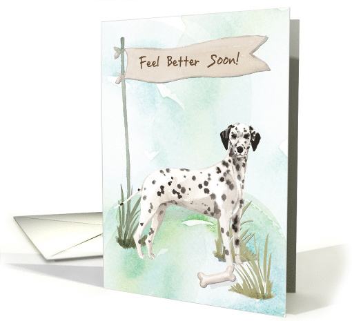 Dalmatian Feel Better After Surgery to Dog card (1574014)